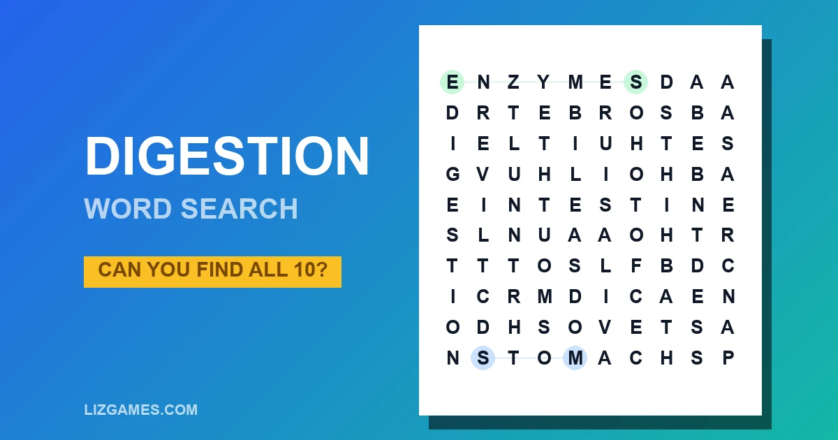Digestion Word Search